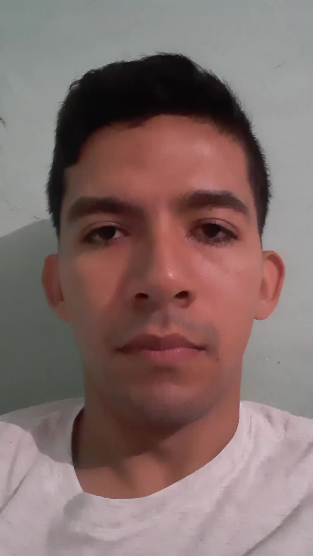 Digitador 