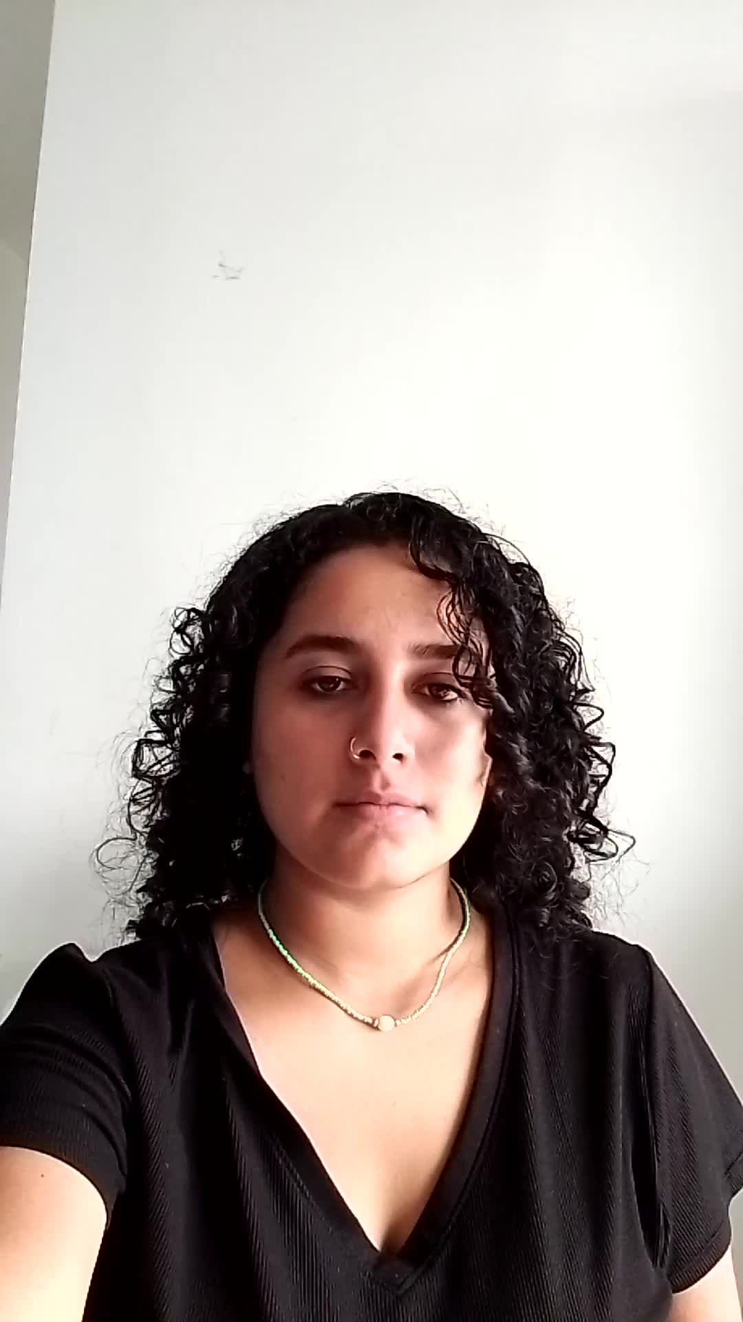 Digitador