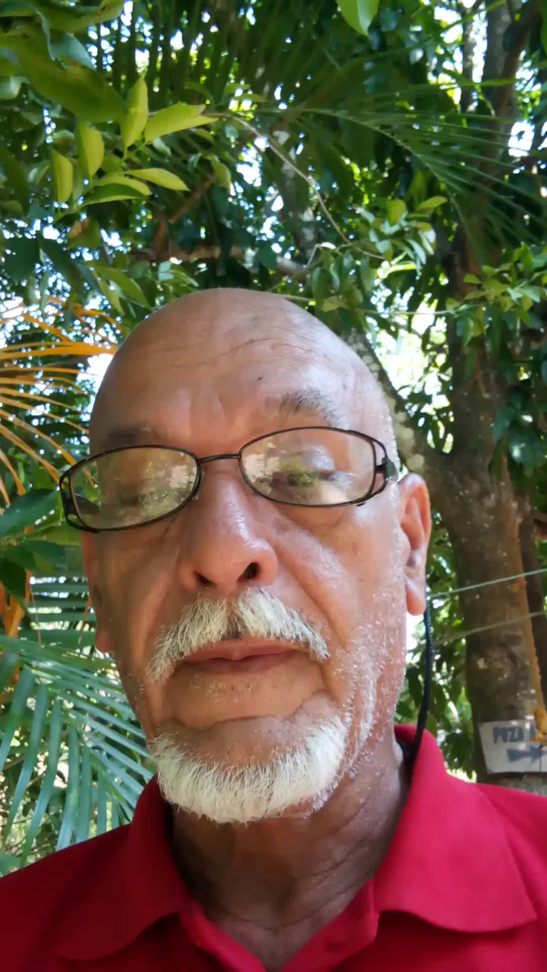 Asistente Virtual 
