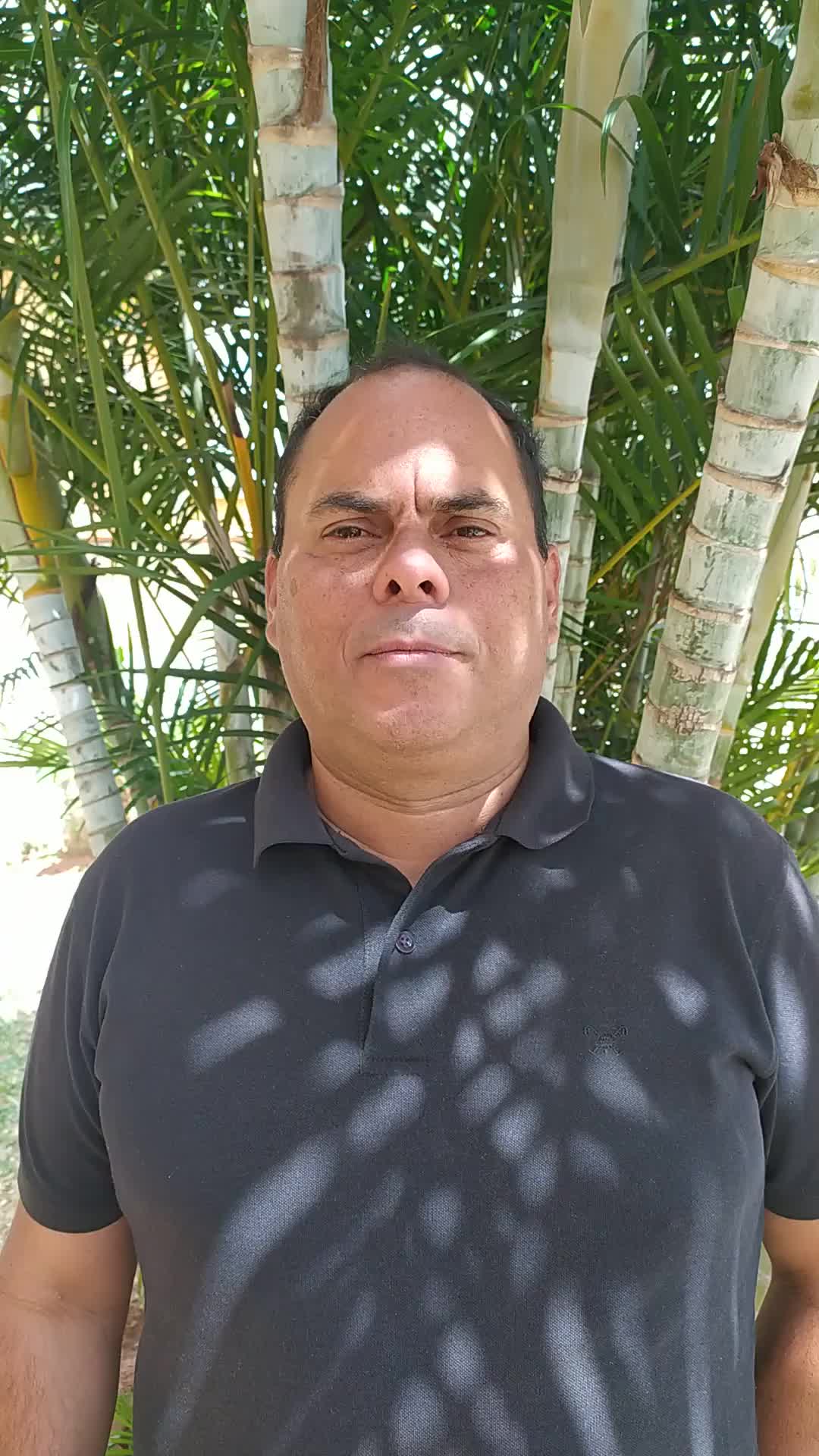 Digitador