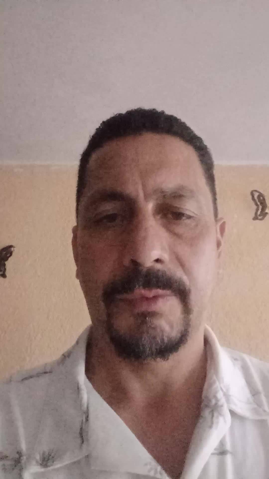 A.l interprete bi 
