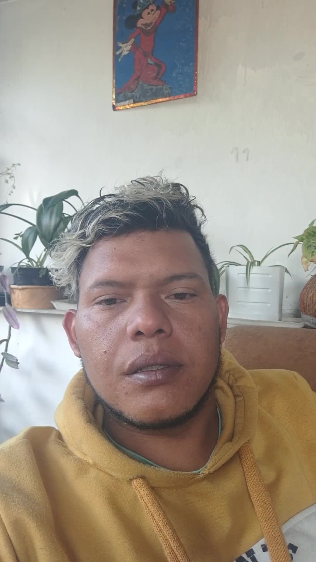 Digitador