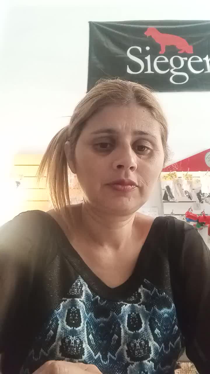 Asistente Virtual 