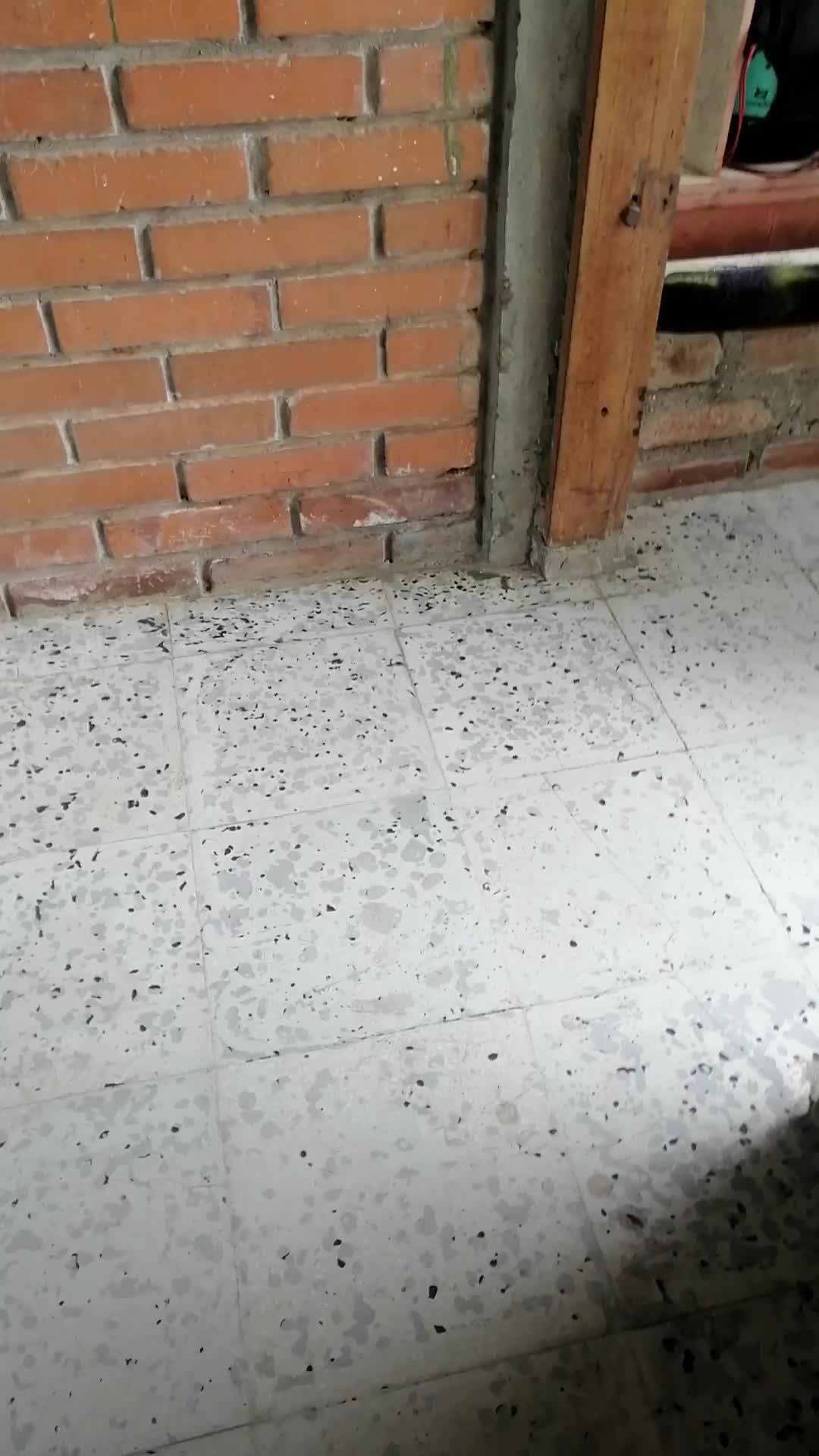 Seguridad y escolta