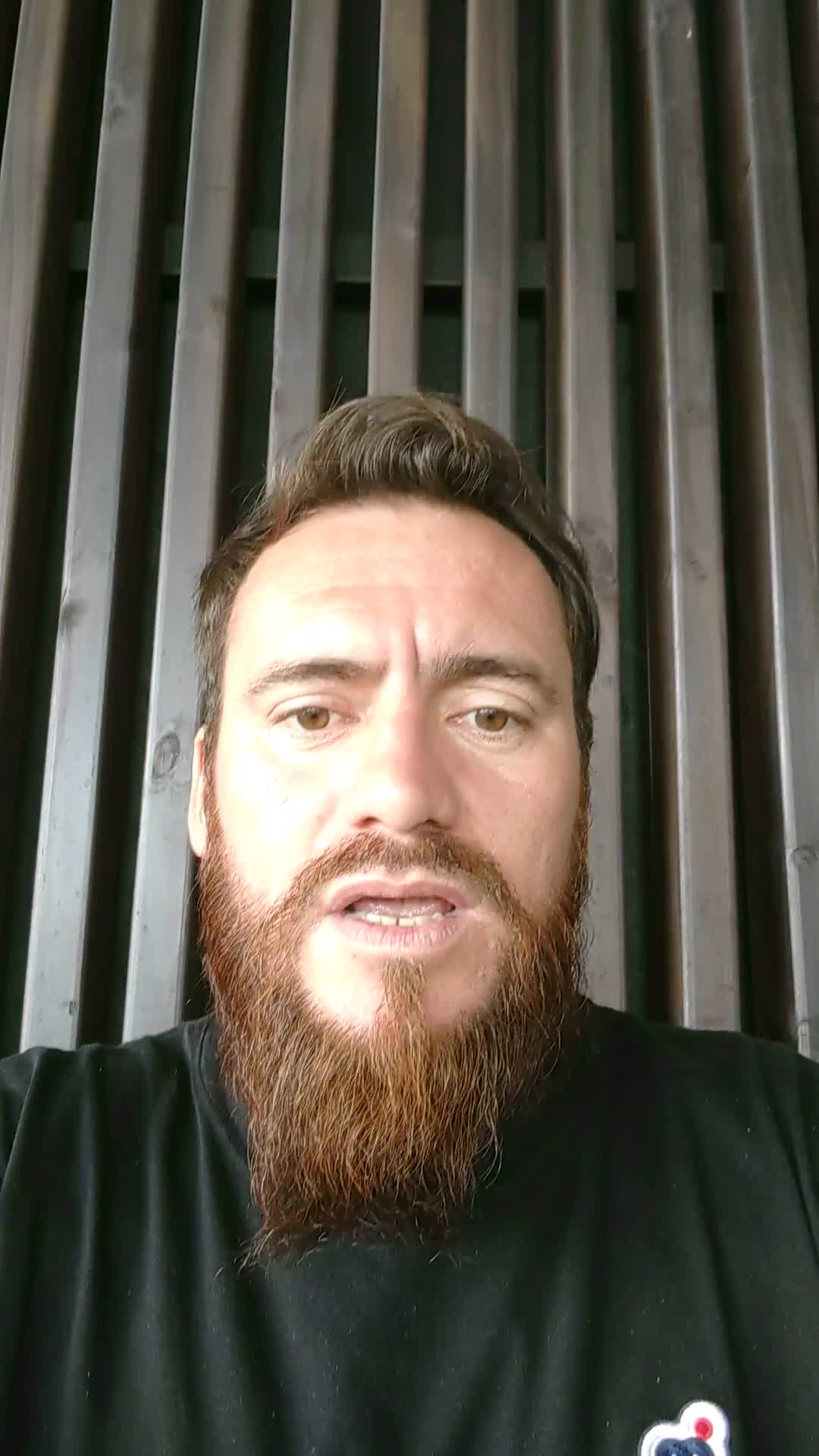 Desarrollador 