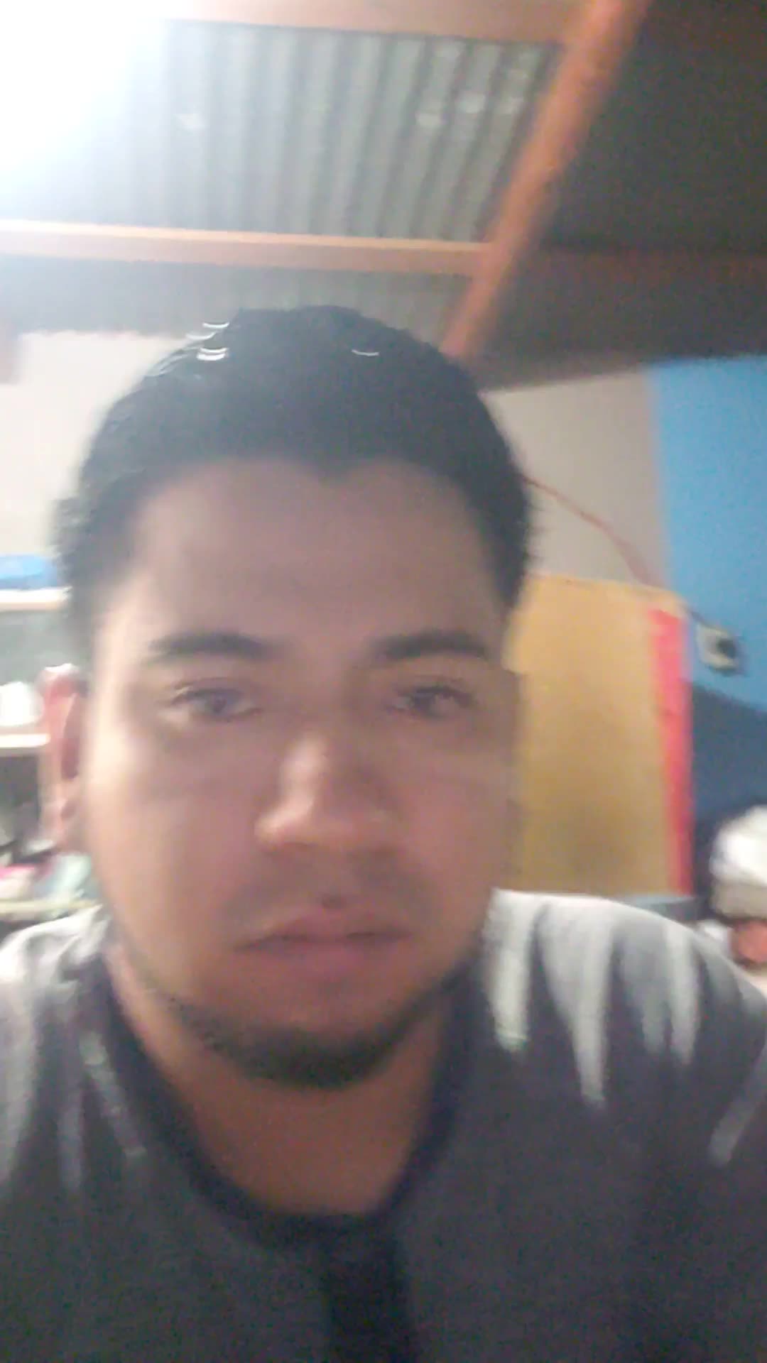 Digitador 