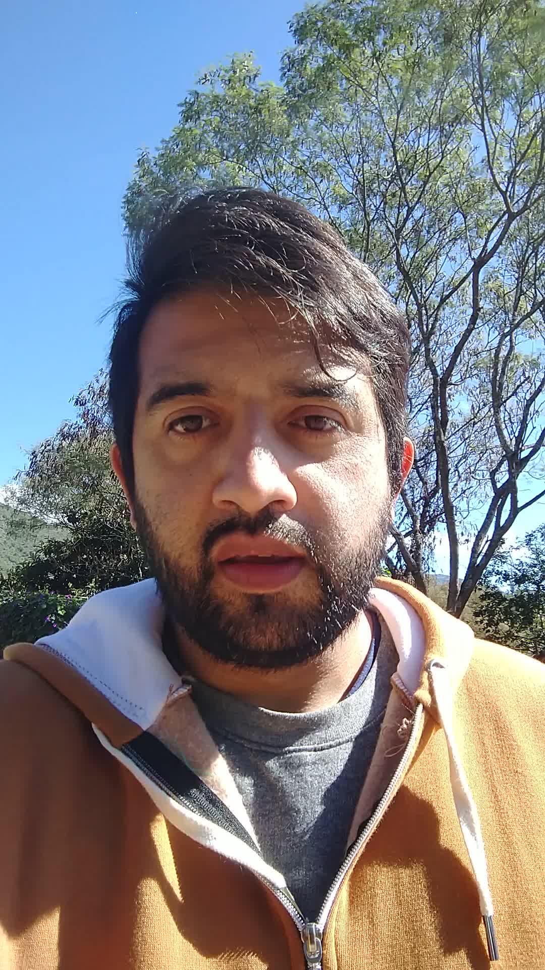 Diseñador gráfico, editor de videos, administrativo