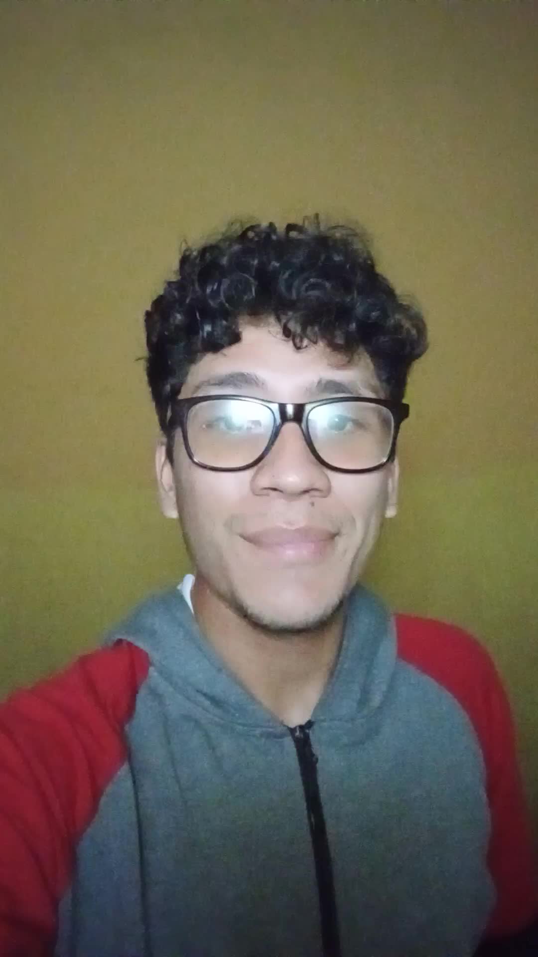 Modelo remoto 