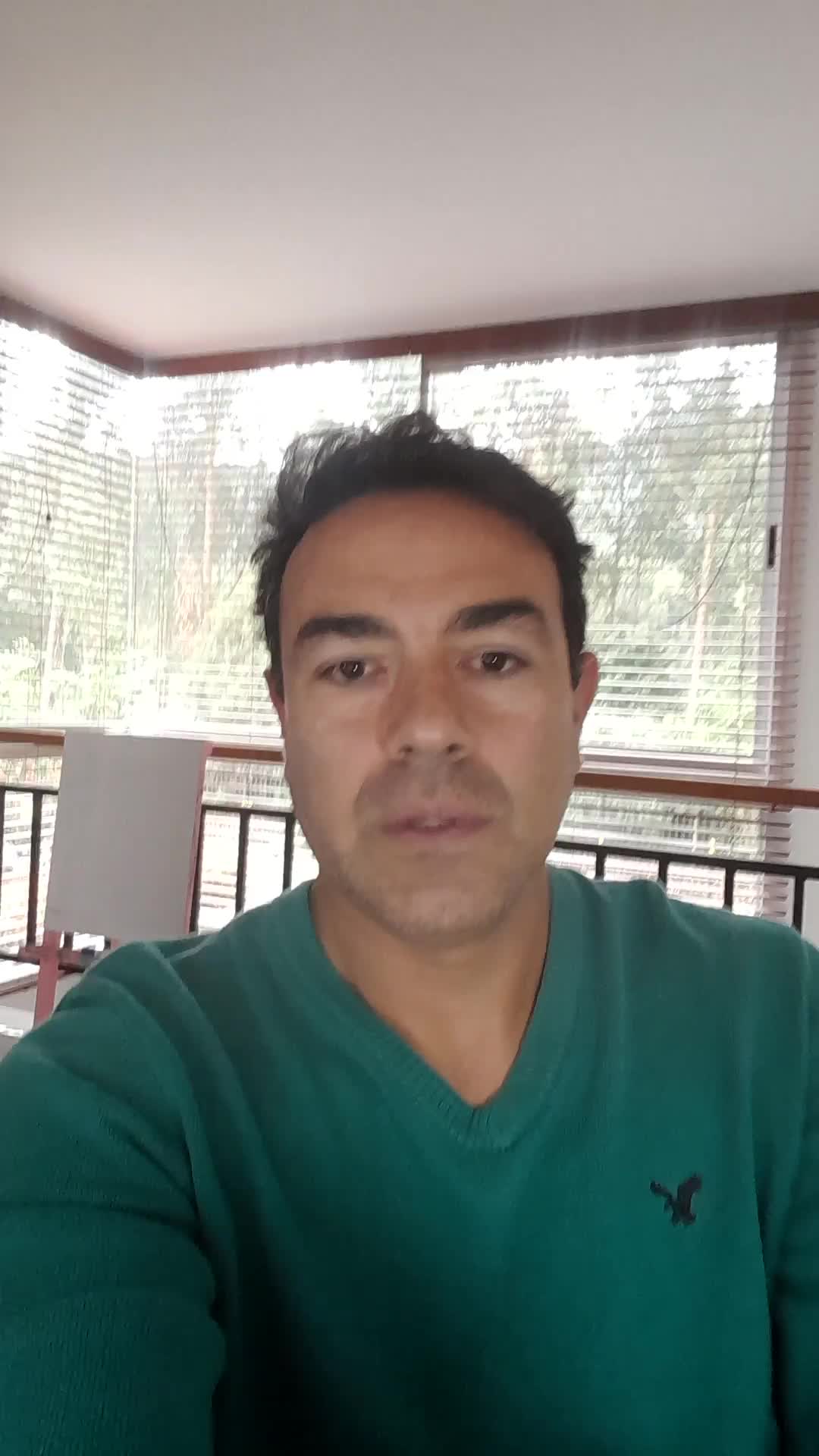 Publicista