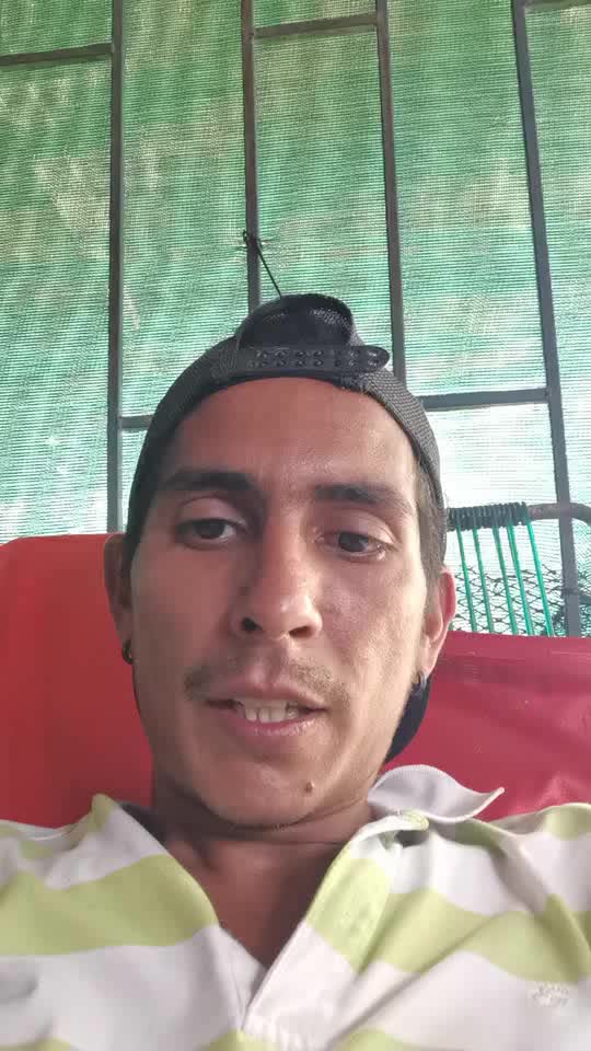 Bartende o asistencia virtual
