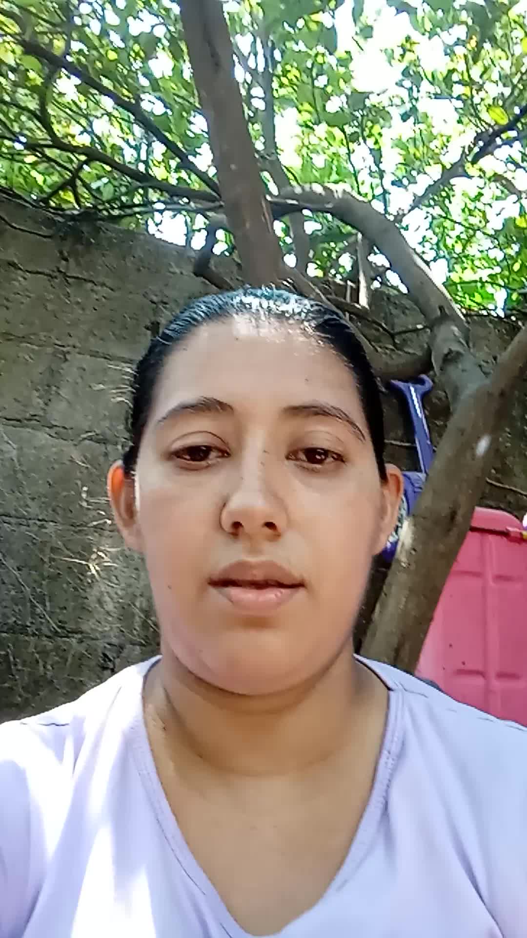 Asistente virtual 