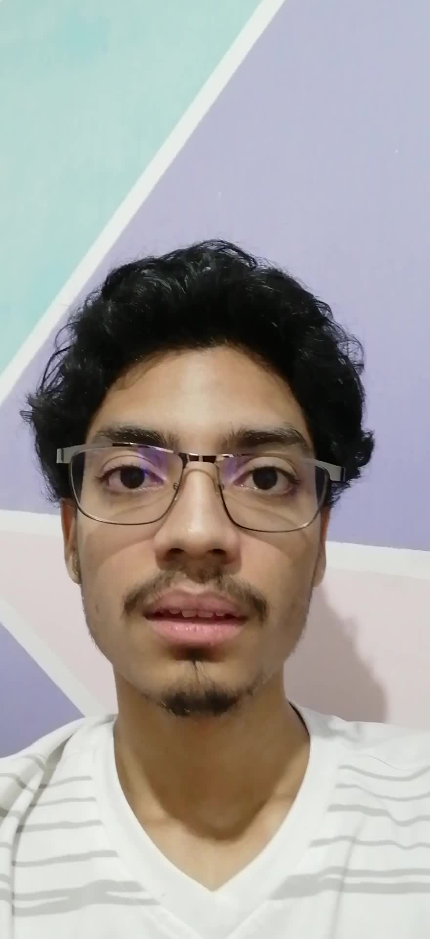 Desarrollador