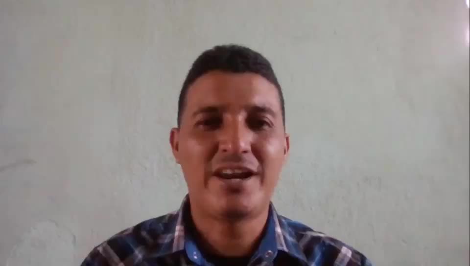 Desarrollador