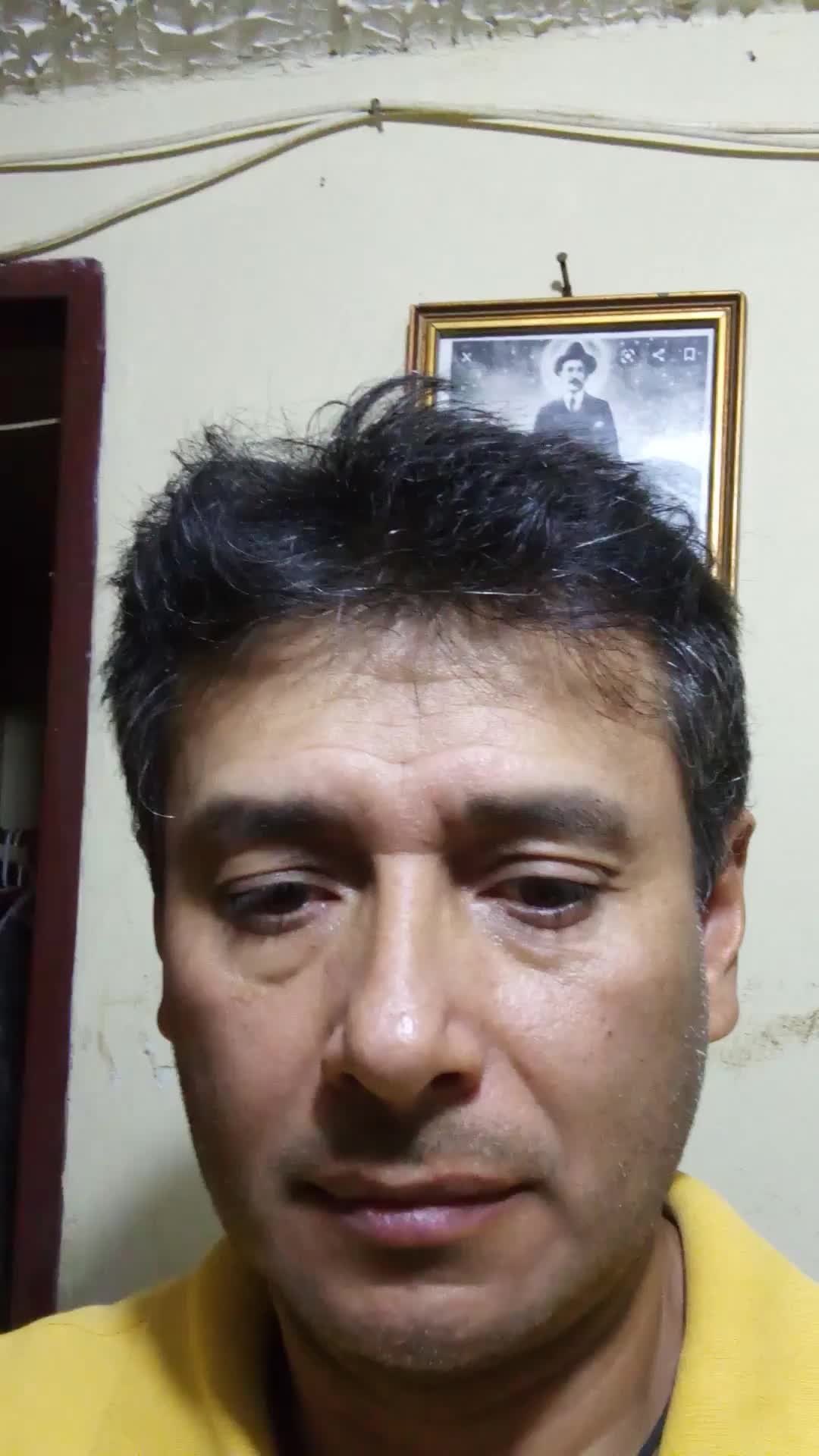 Ronnal Asistente Virtual