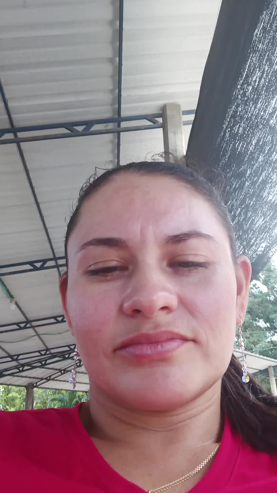Busco empleo como conductora 