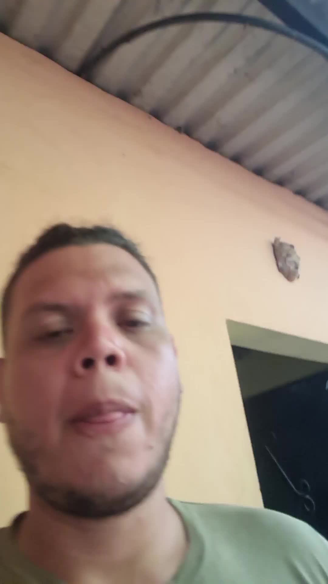 Tecnico Bilingue 