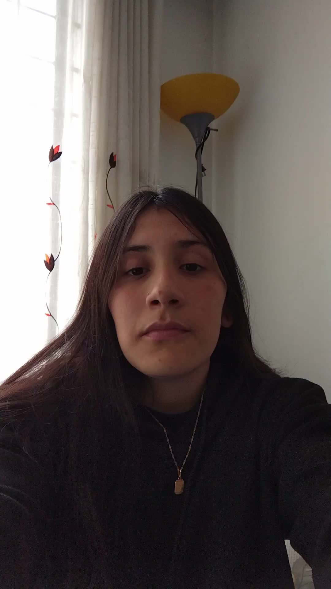 Asistente Virtual 