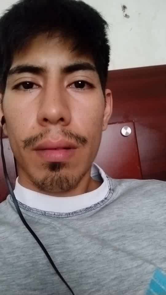 Carpintero, conductor licenciaB1