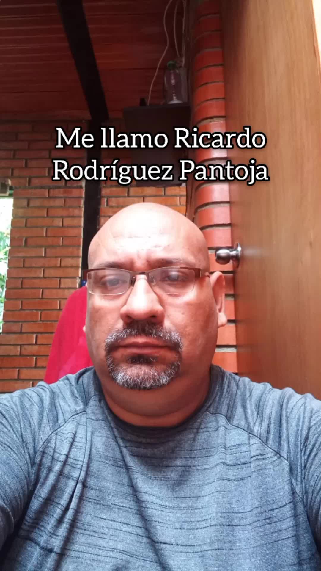 Técnico en sistemas conductor 