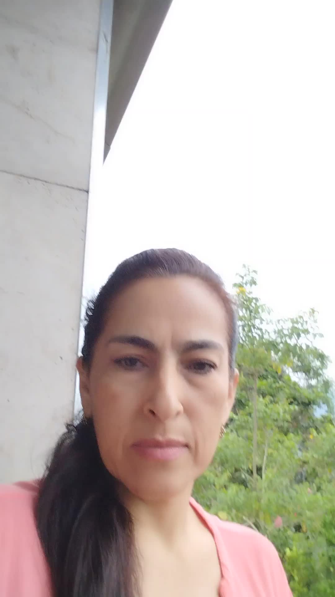 Asistente virtual 