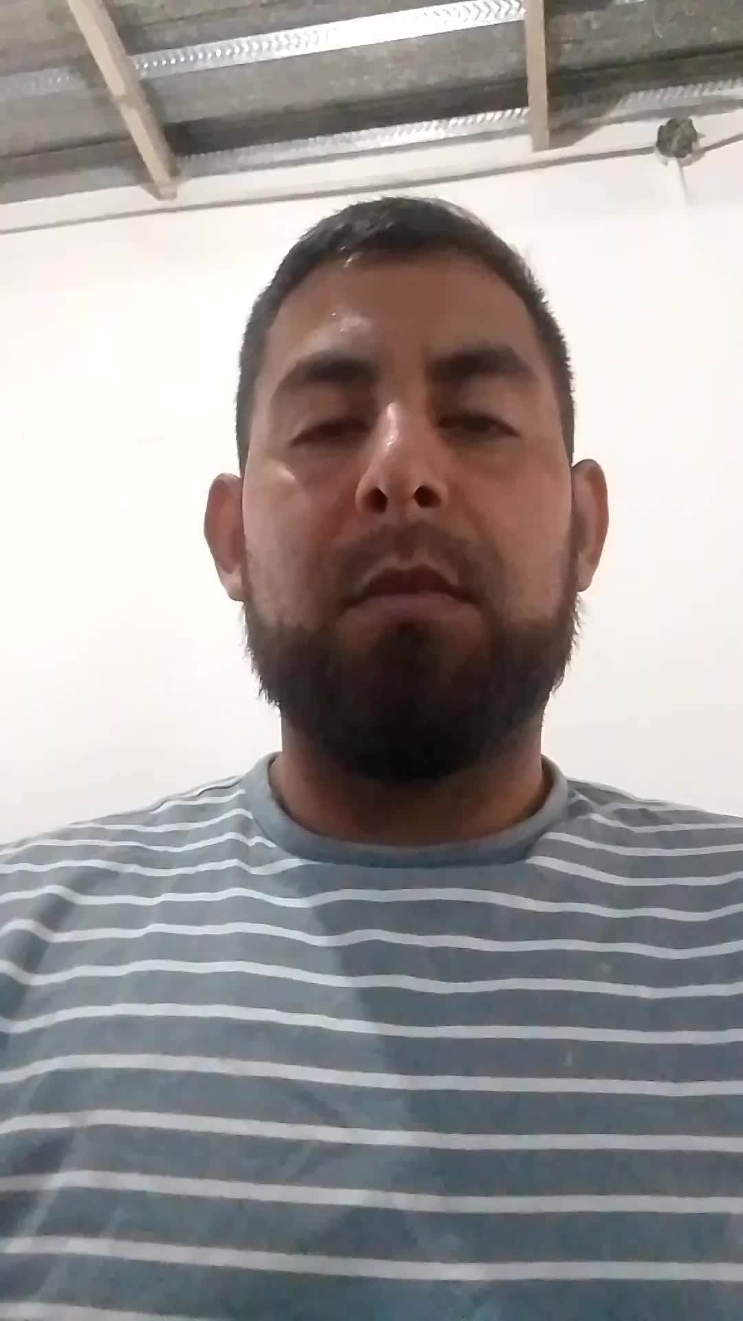 Asistente virtual