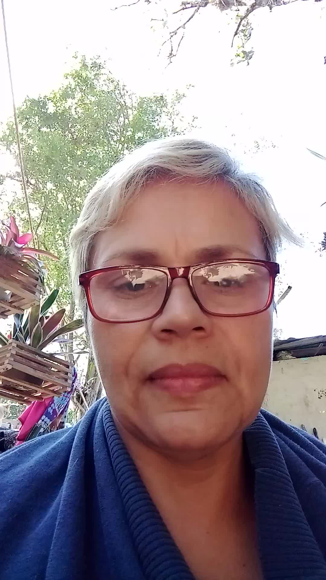 Digitador