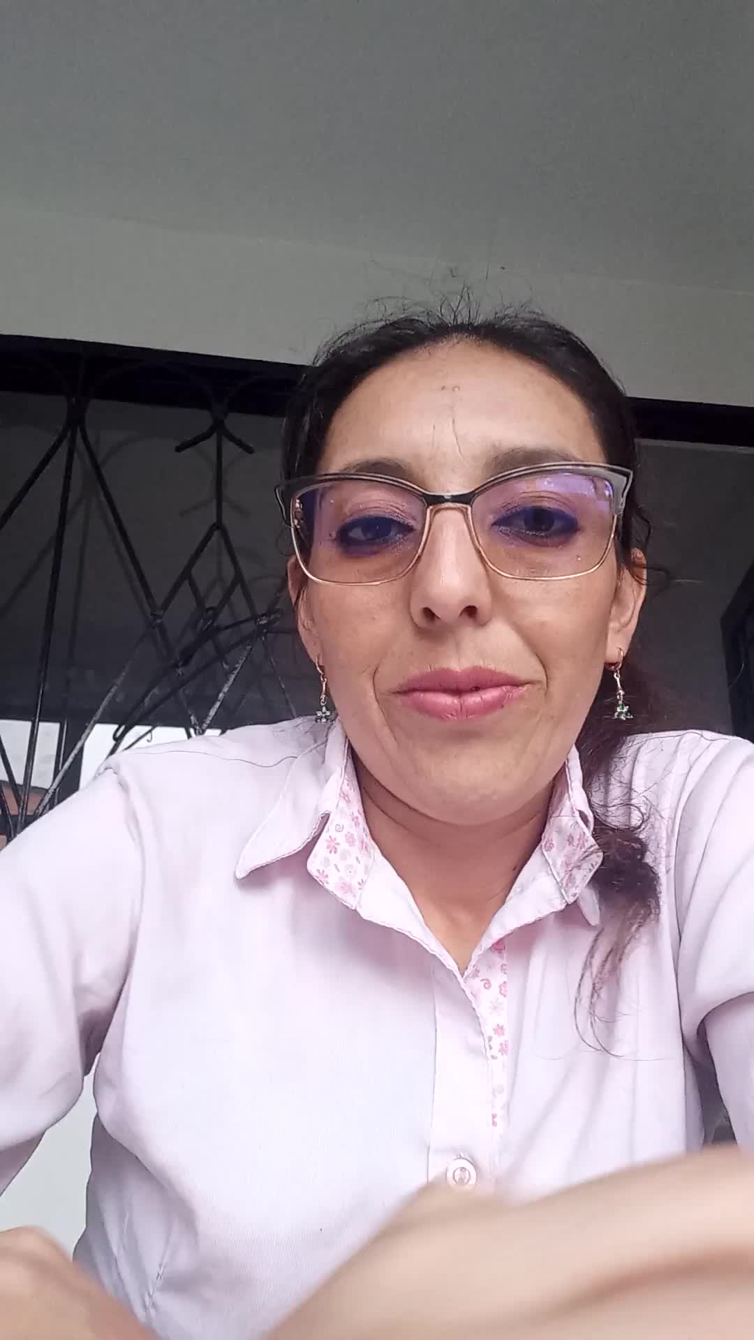 Digitador