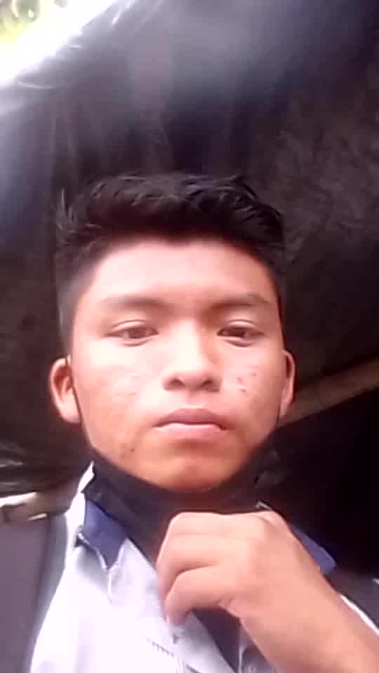 Hoteles 