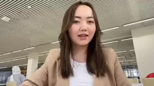 IT Developer 
