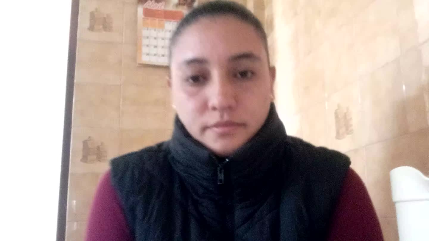Asistente de Auditoría
