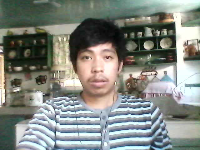 Software Developer