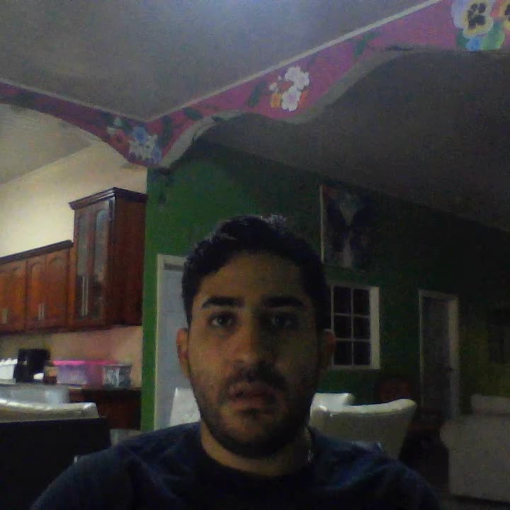 desarrollista promotor