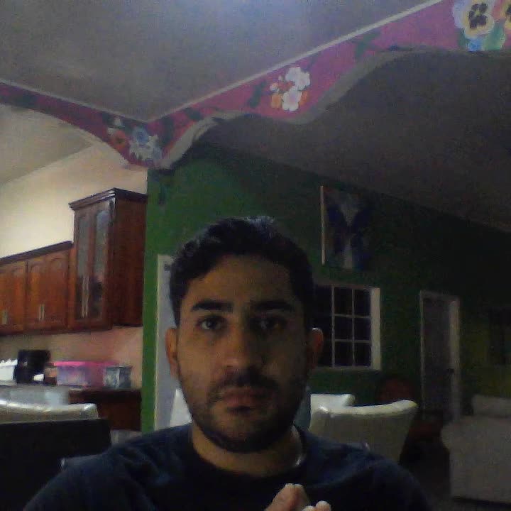 Promotor Desarrollista