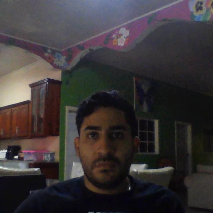 Promotor Desarrollista