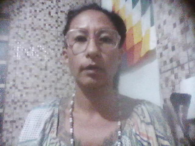 profesora de historia