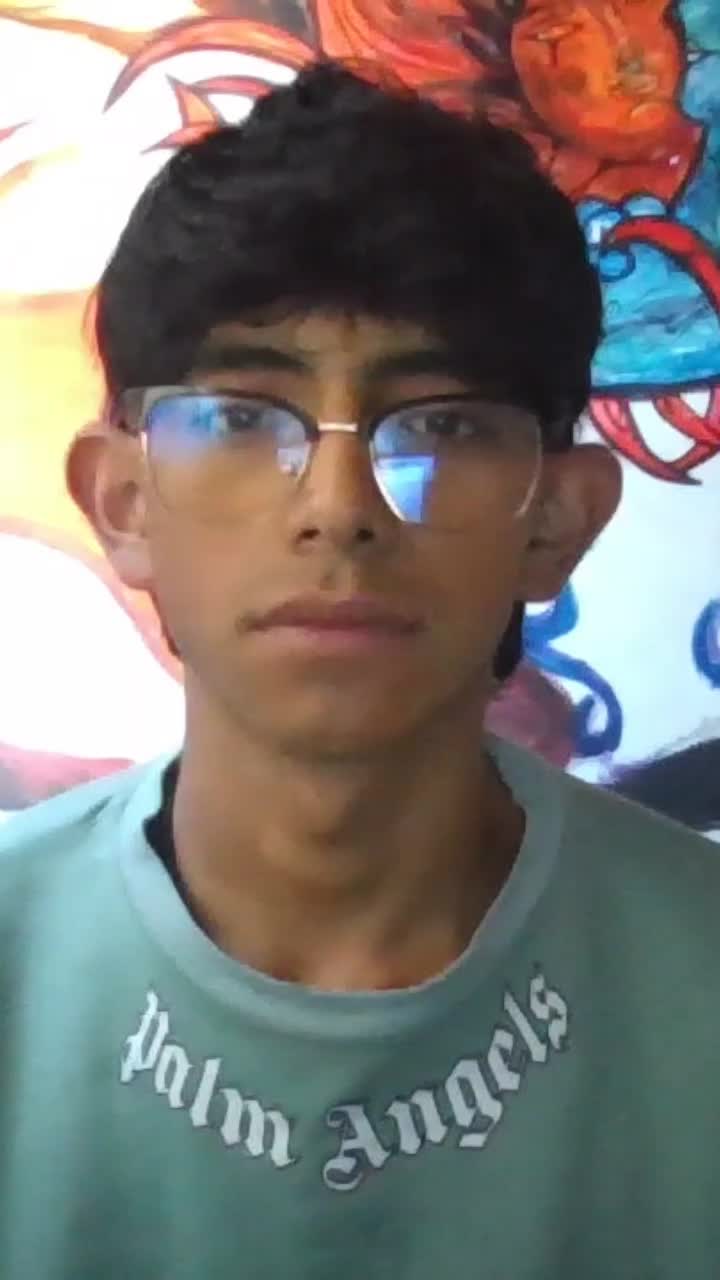 Estudiante de ingeniería de sistemas