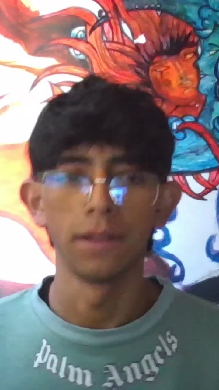 técnico de sistemas