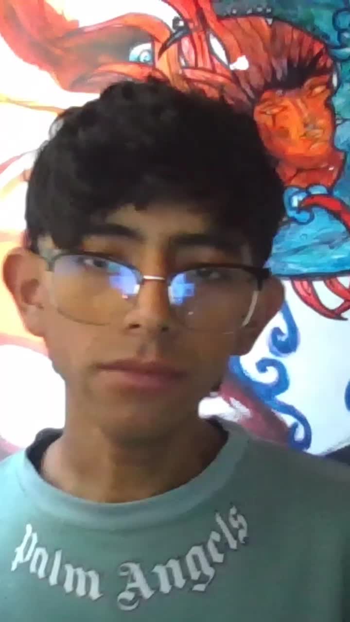 Estudiante de ingeniería de sistemas