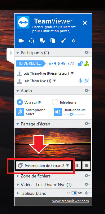 You can use the TeamViewer panel to switch the presenting display to the unseen one