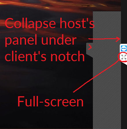 Save screen space by collapsing the host's TeamViewer panel beneath that of the client, and full-screen