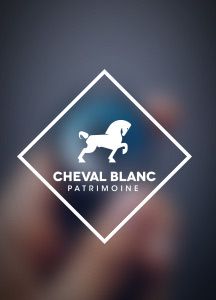 Stratégie Financière - Cheval Blanc Patrimoine