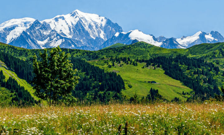 Nue-Propriété à l’Alpe d’Huez - Cheval Blanc Patrimoine