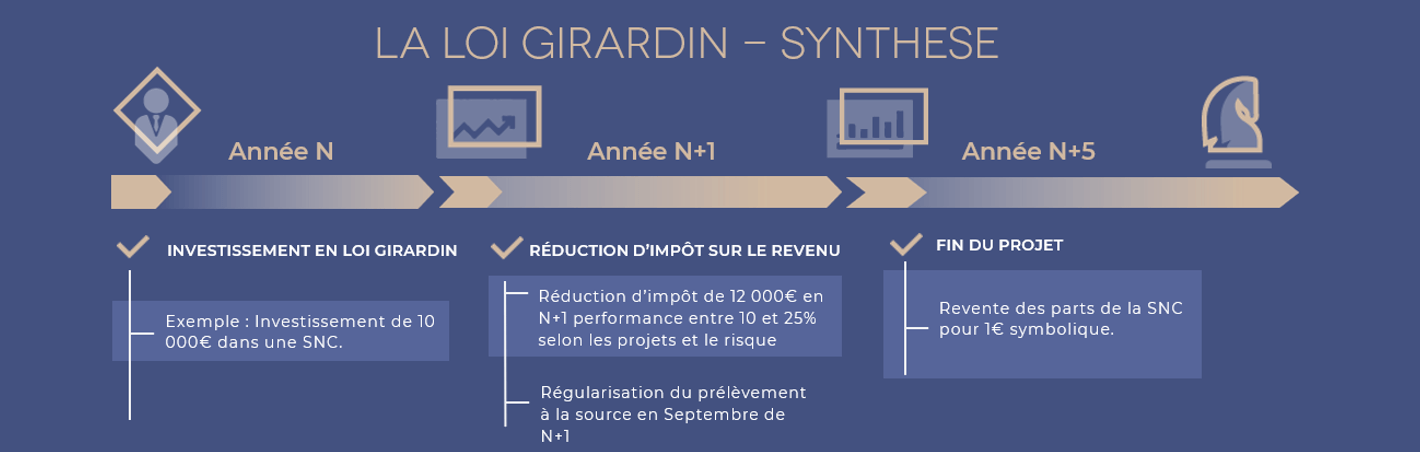 Exemple investissement Girardin