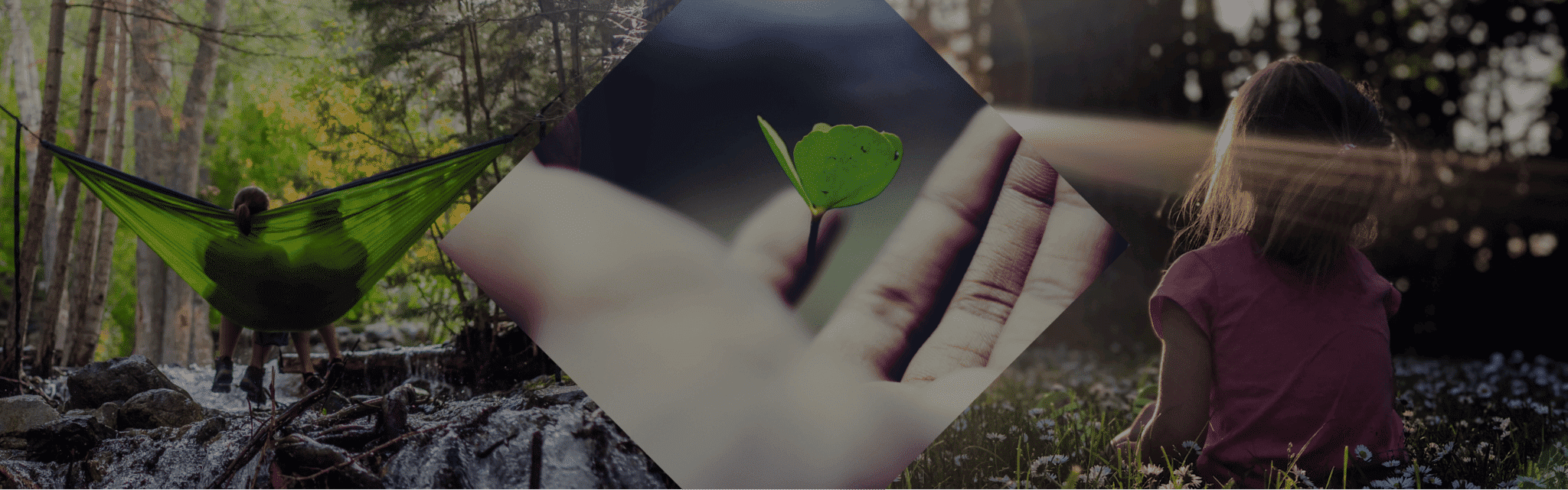 Assurance vie luxembourgeoise - Cheval Blanc Patrimoine