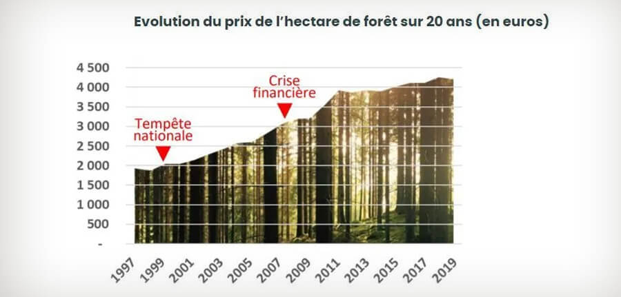 Investir avec les forêts et les vignes - Cheval Blanc Patrimoine