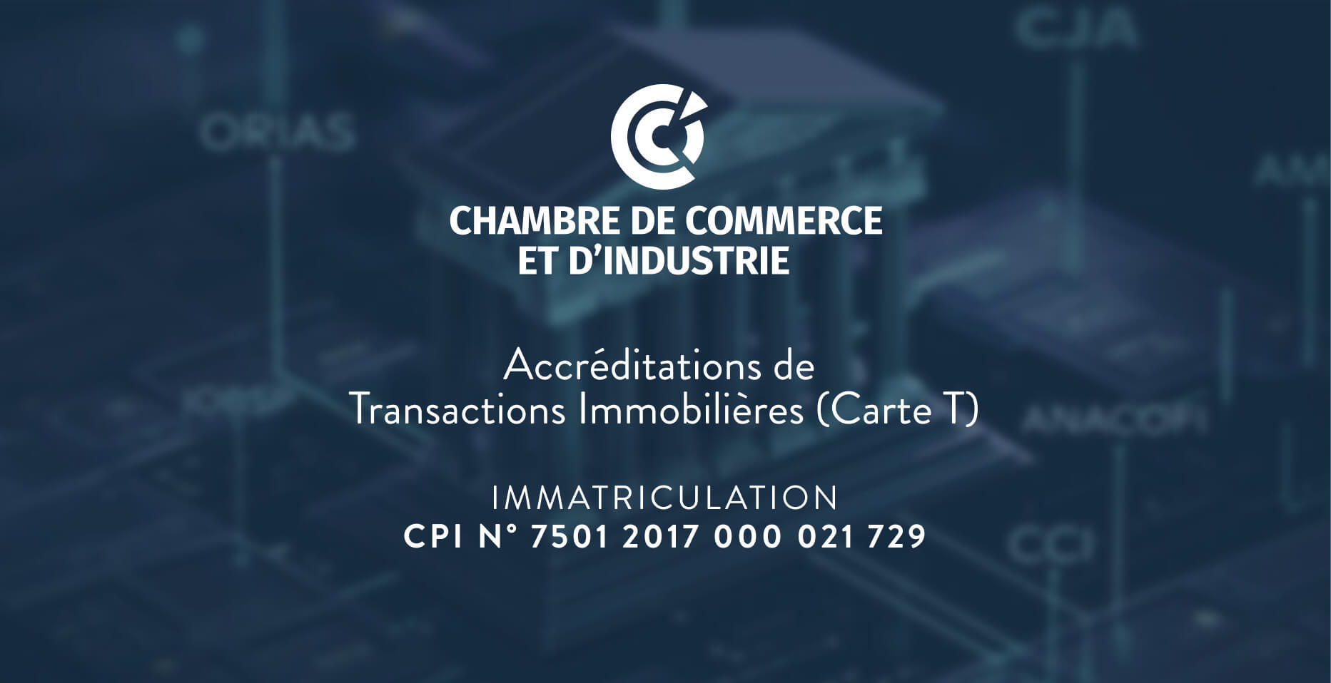 Bilan Patrimonial – new 2024 - Cheval Blanc Patrimoine