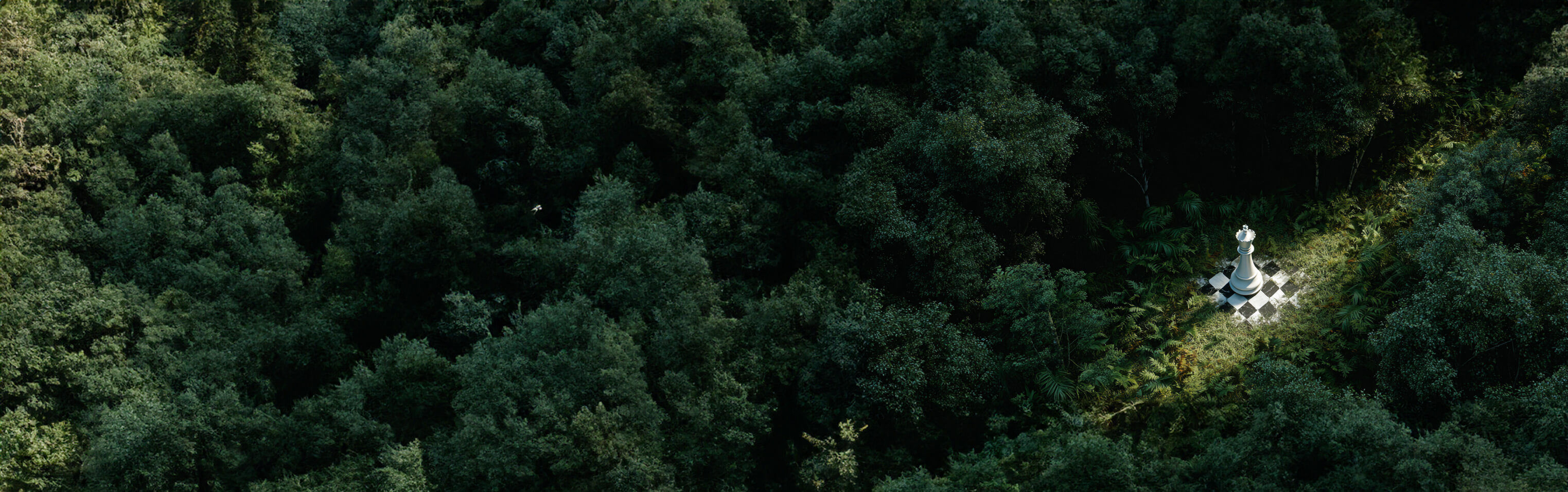 Liste des placements - Cheval Blanc Patrimoine