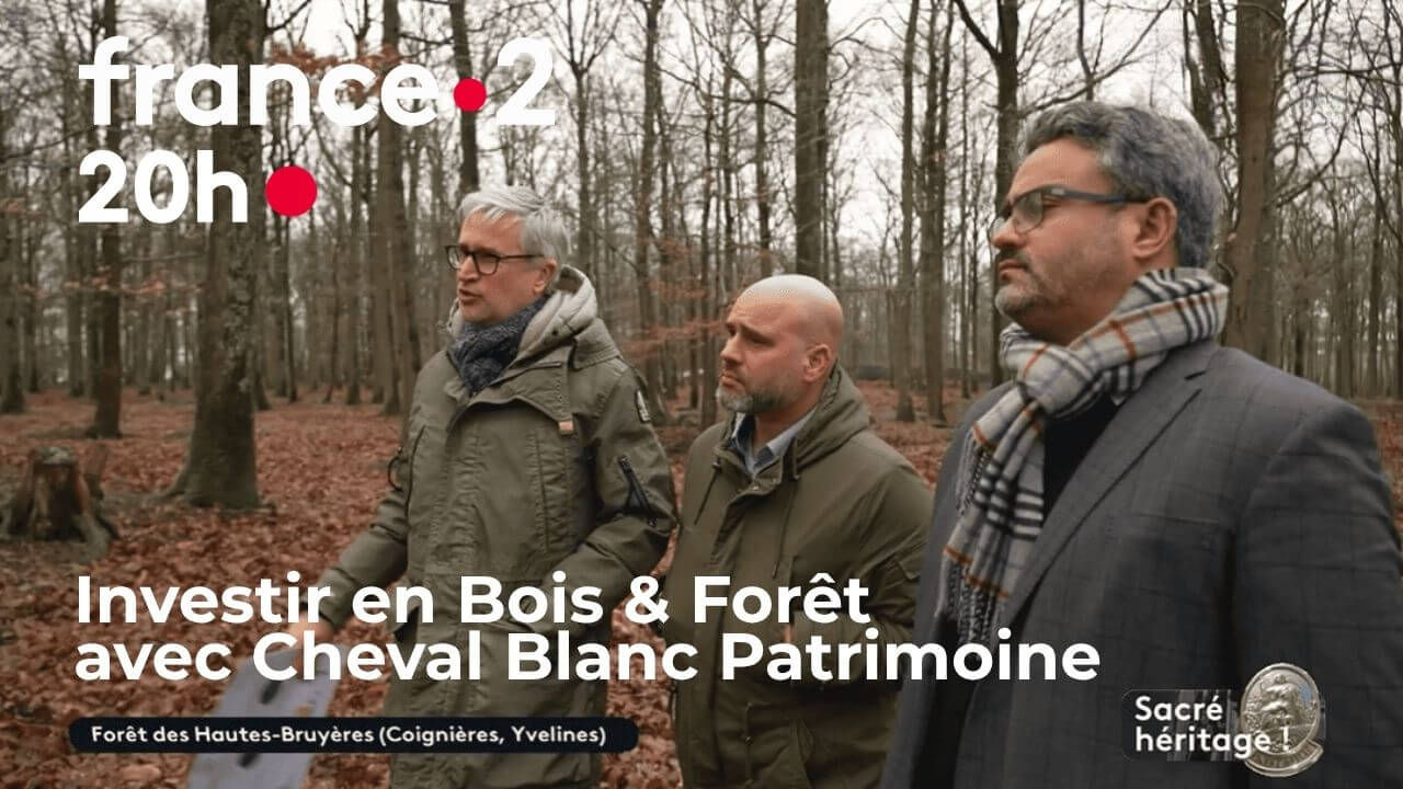 investir en foret avec cheval blanc patrimoine jt france 2