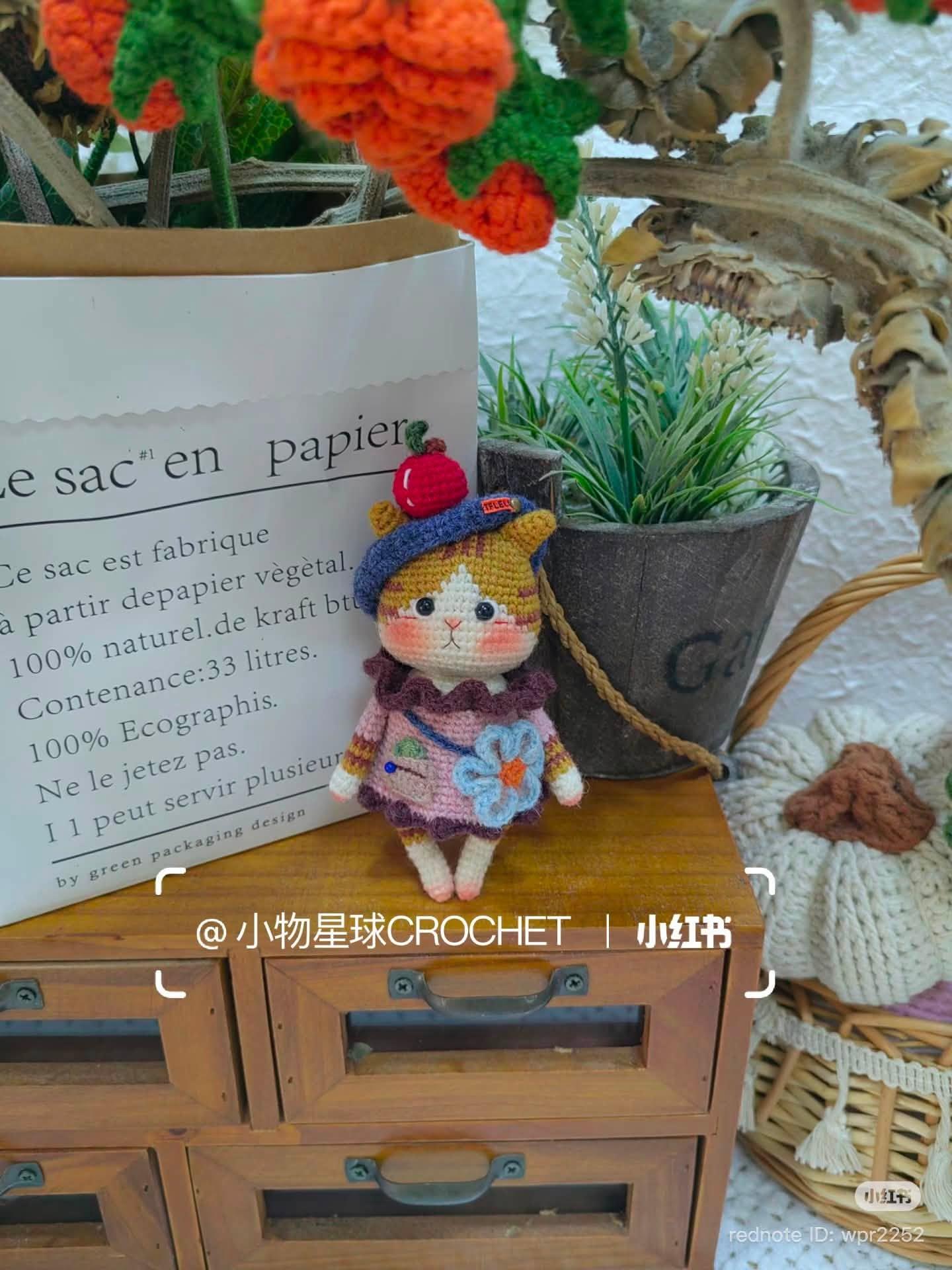 Bé mèo mũ nồi táo đỏ