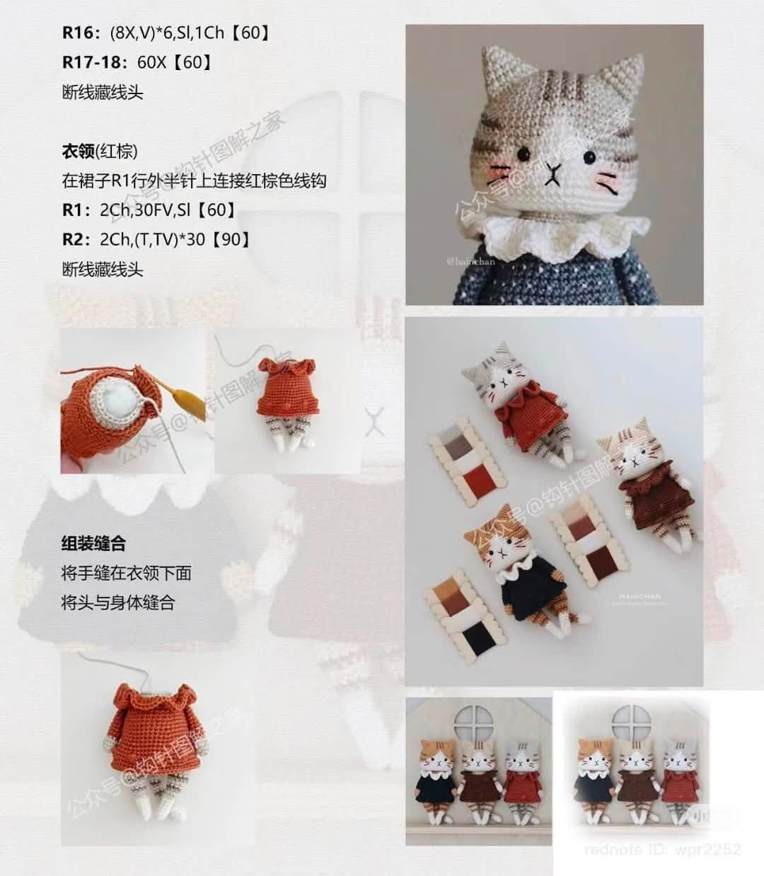 Mèo vằn váy xoè ba màu